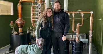 Even Tuesdays are special at Everyday Legacy Craft Distillery