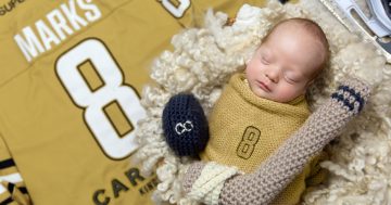 Meet the newest, tiniest fan cheering on the Canberra Brave