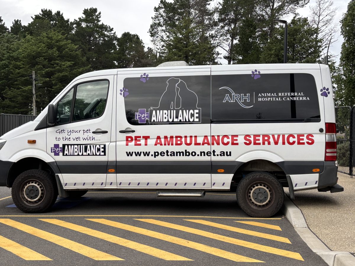 A Pet Ambulance Services van, photographed from the side