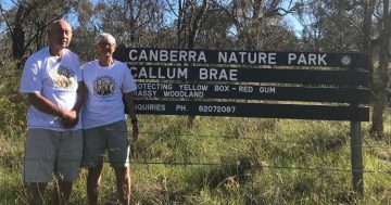 Southside crematorium opposition group wins minor battle to save trees, major fight not over
