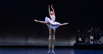 Things to do in Canberra this week (1 - 7 August)