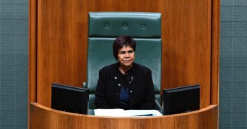 History made: Scrymgour becomes first Indigenous MP to chair session in House of Reps chamber