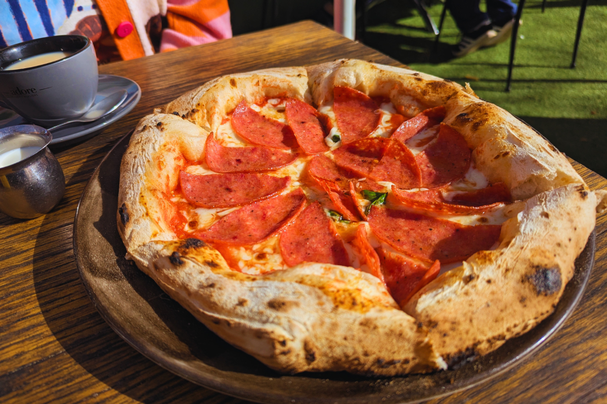 A salami-topped pizza