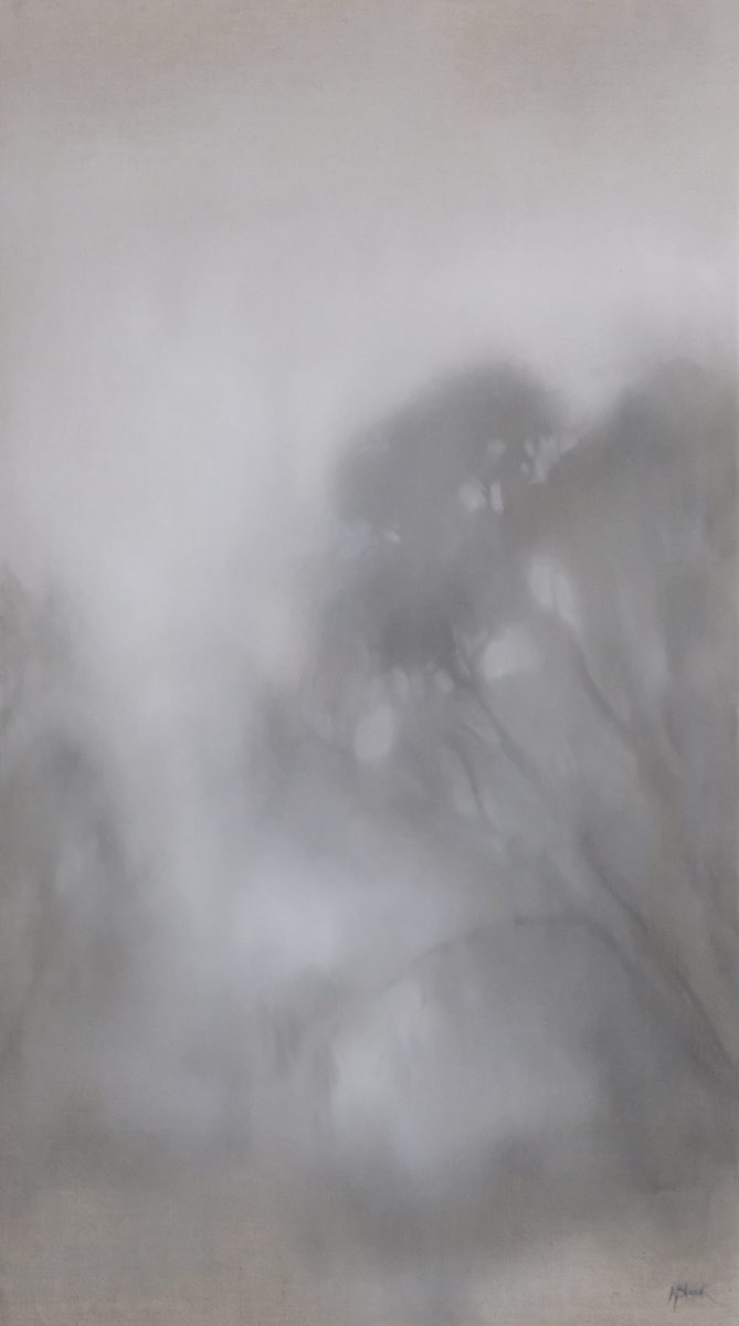 Misty view of trees