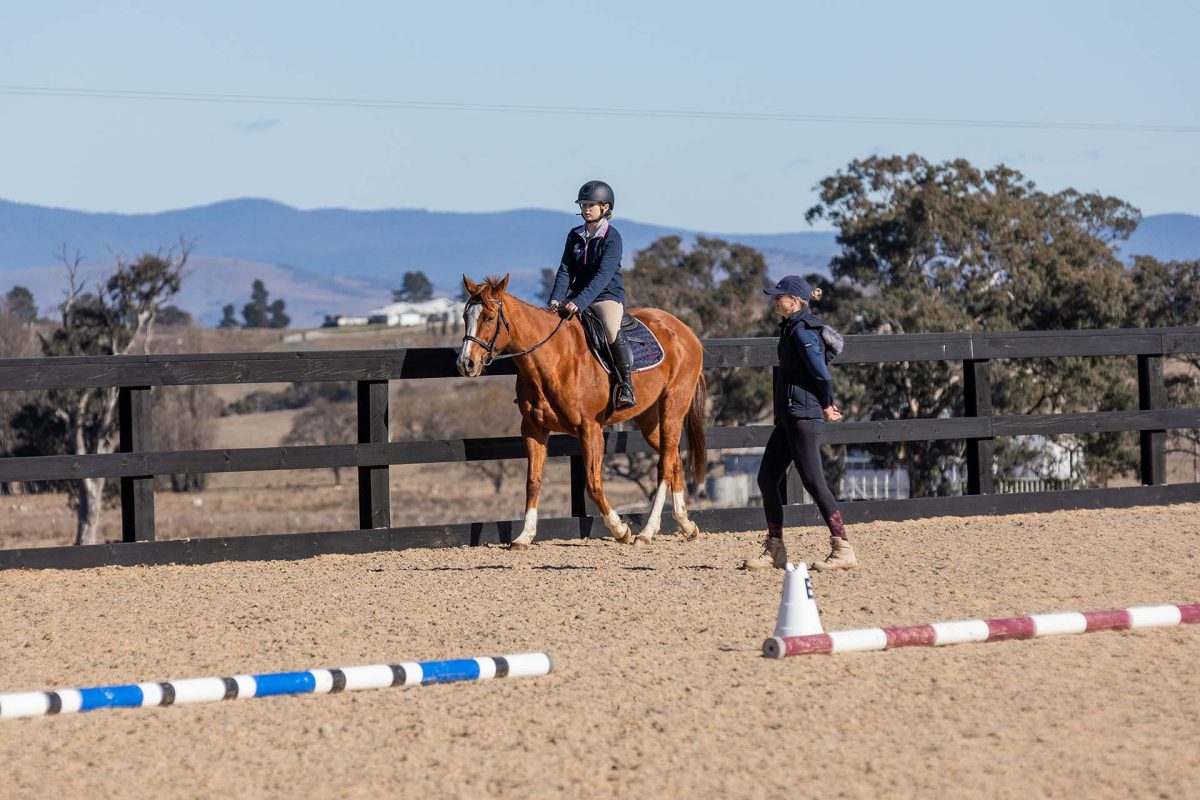 a horse riding lesson