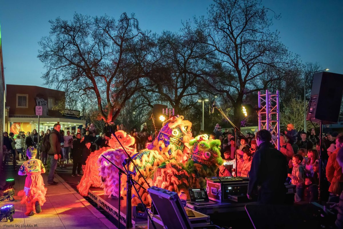 Traditional Chinese lion dancers perform to a crowd.