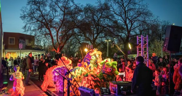 Lights, camera, community: Light Up Lyneham set to illuminate the wetlands
