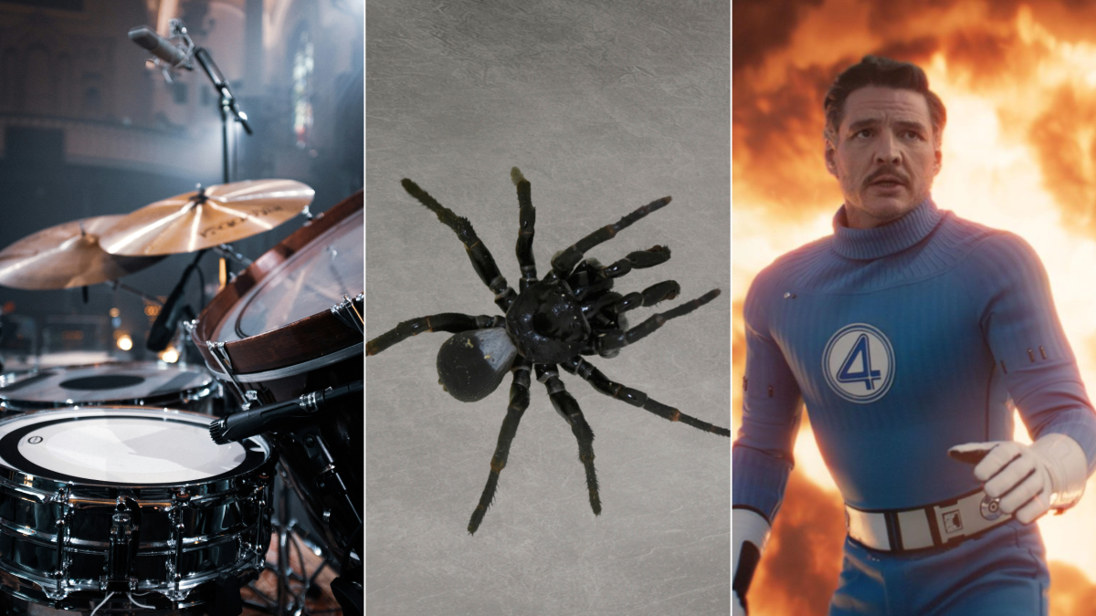 drum, spider, actor