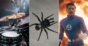 QUIZ: Does Canberra get funnel-webs? Plus 9 other questions