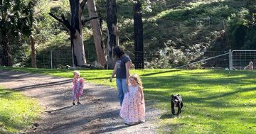 A dog’s death, a child’s logic, and a life lesson in letting go