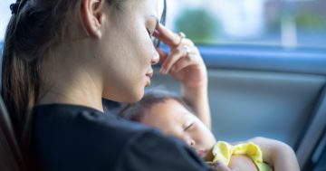 Carers ACT releases new resource hub for foster and kinship carers