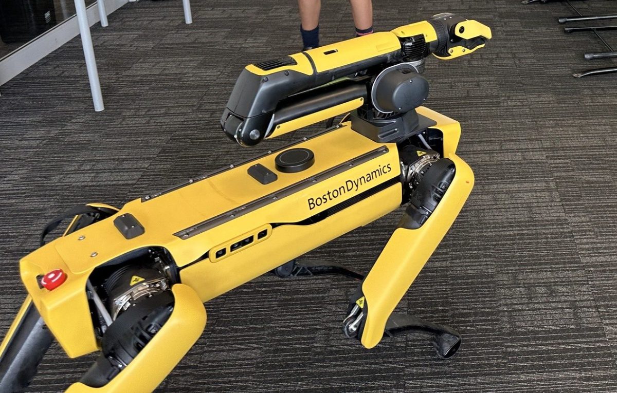 robot dog