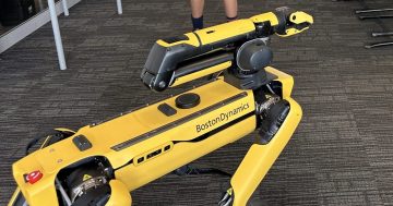 A $340,000 robot dog, $2.1 million in unpaid super, the Kentucky Derby: what else did the Brindabella auditors find?
