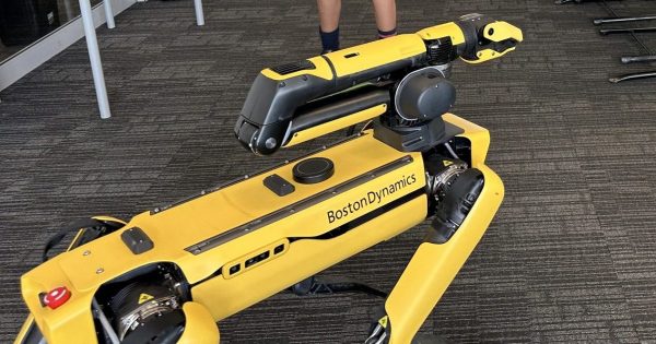A $340,000 robot dog, $2.1 million in unpaid super, the Kentucky Derby: what else did the Brindabella auditors find?