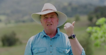 Barnaby Joyce to introduce his own bill to repeal net zero target