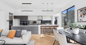 Auction results 28 July - 3 August 2025