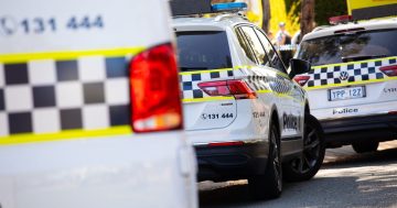Rivett man charged after allegedly threatening to lock wife in chicken cage