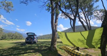 13,000 sign petition to keep camping affordable as NSW Government mulls nightly fees