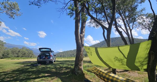 13,000 sign petition to keep camping affordable as NSW Government mulls nightly fees