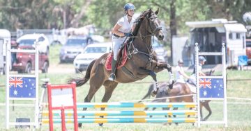 Lucy spent five years as his stable hand – now she takes her favourite racehorse to a new world of competition