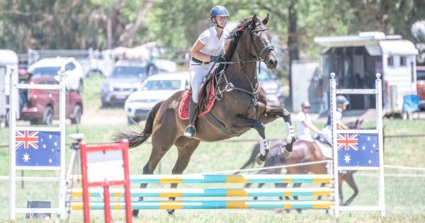 Lucy spent five years as his stable hand – now she takes her favourite racehorse to a new world of competition