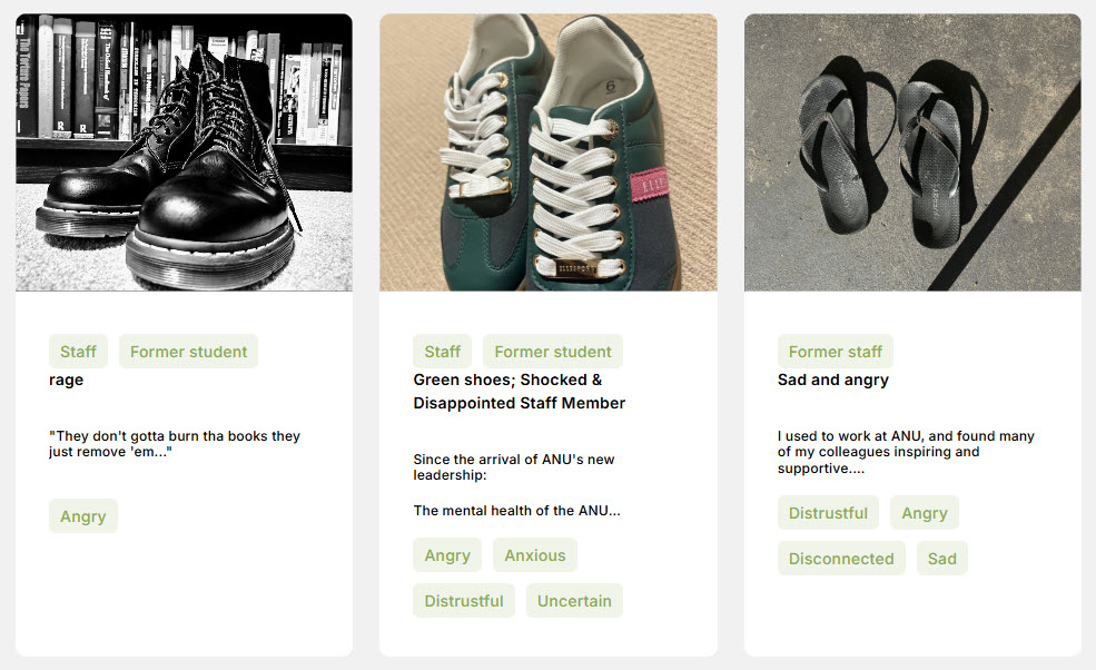 Shoes of ANU