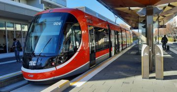 Will light rail stage 2B extend to Mawson? We won't know for at least another three years