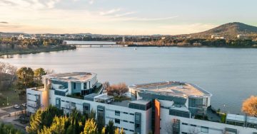 Auction results 4 - 10 August 2025
