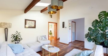 Auction results 25 - 31 August 2025