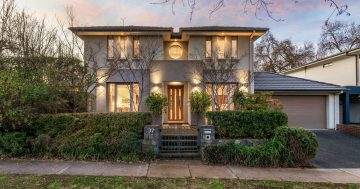 Auction results 18 - 24 August 2025