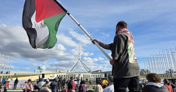 Pro-Palestine rally will cross Canberra bridge in call for sanctions on Israel