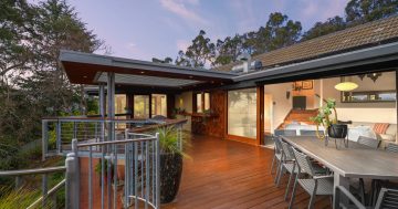 Auction results 11 - 17 August 2025