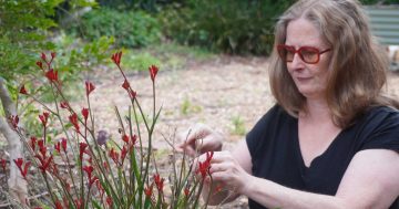 'Definitely the best way to go': Canberra woman wants to legalise human composting