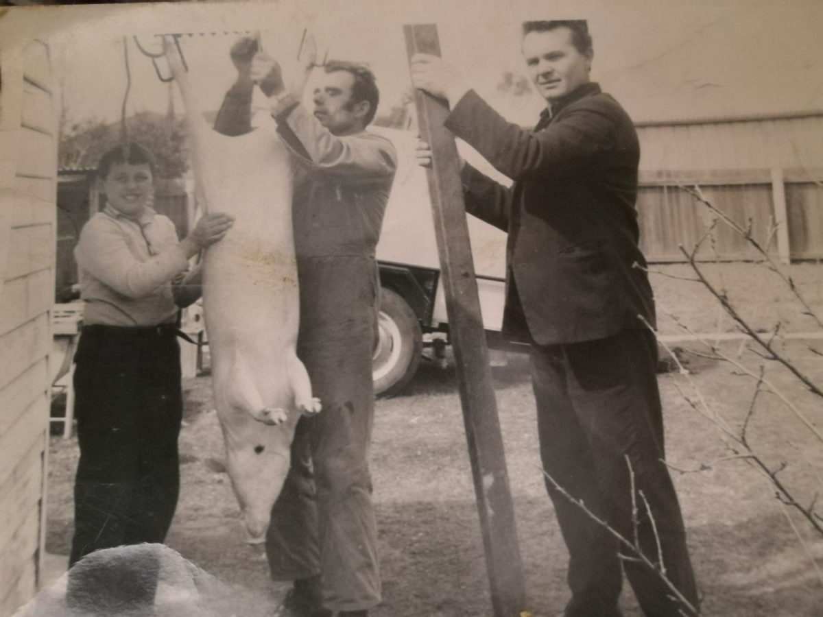 Black and white photo of people with slaughtered pig.
