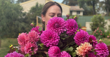 Weddings are changing - and it's shaking up the flower industry