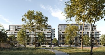 Rate cuts, scheme changes spark rush for Canberra homes