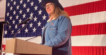 Yee haw! It's party time at US Embassy's 'country fair'