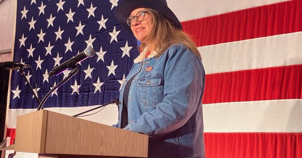 Yee haw! It's party time at US Embassy's 'country fair'
