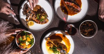 Things to do for Father's Day in Canberra