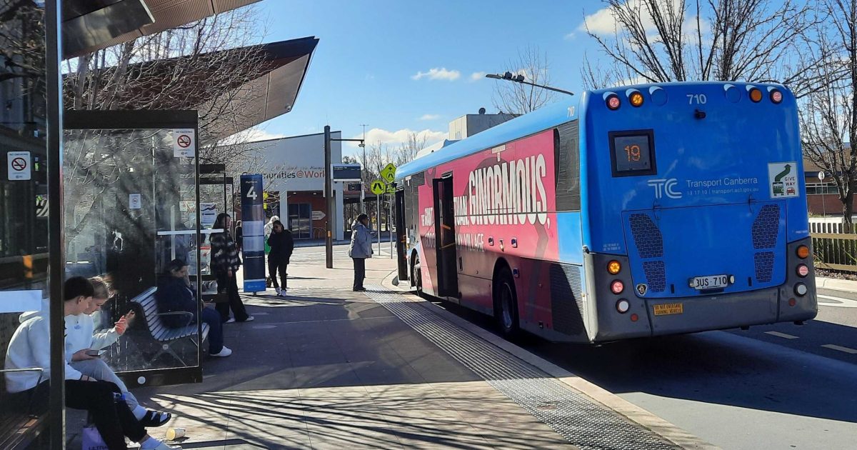 Transport Canberra seeks more drivers as it prepares to roll out expanded Sunday bus services