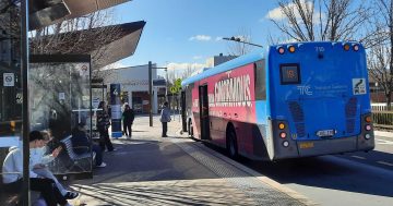Changes coming to Canberra's buses this month