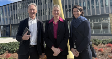 Tax reform, land use changes on the table for inquiry into future of ACT's community clubs