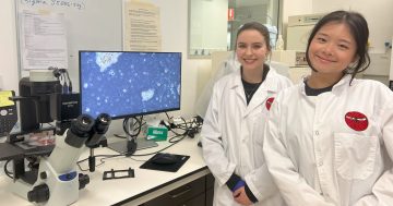 A Parasite Pandemic arrives in Canberra for National Science Week ... but you can help stop it