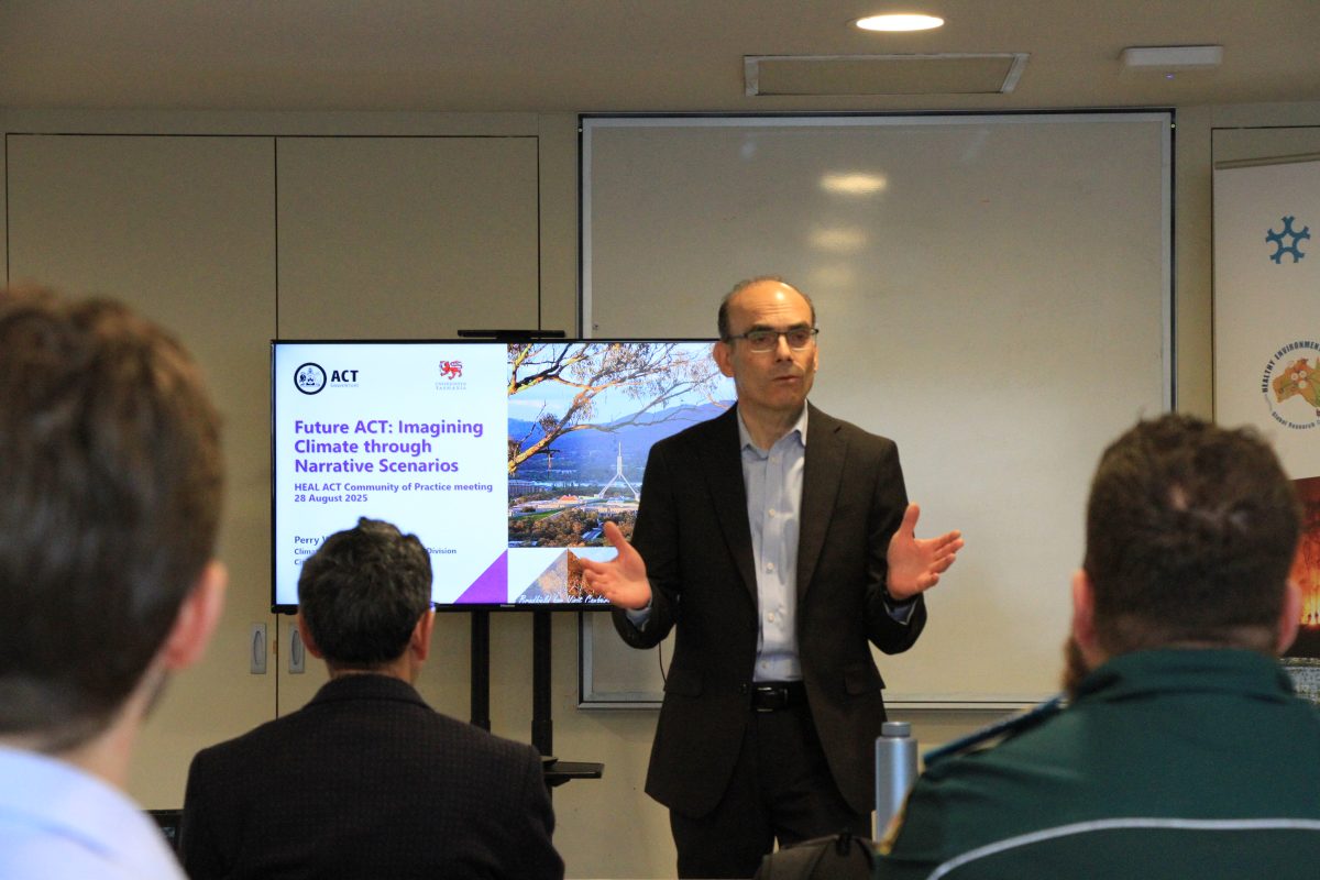Professor Sotiris Vardoulakis addresses conference