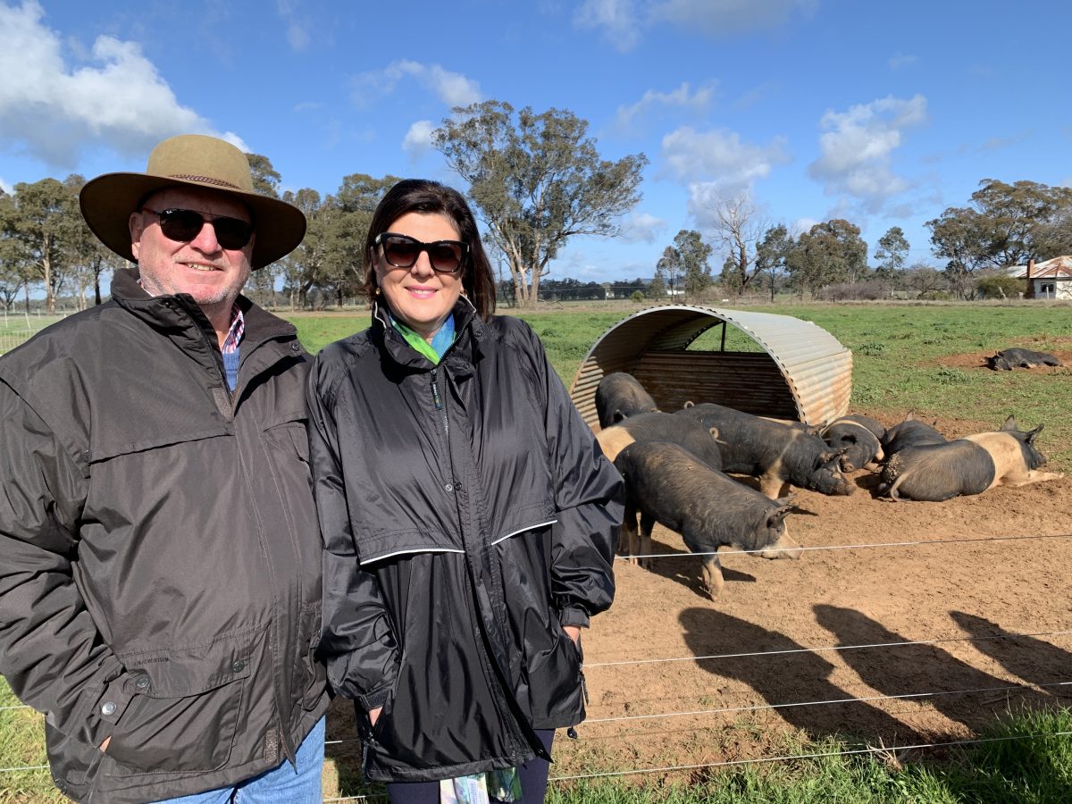 Two people stand in front of a paddock with free range black pigs.