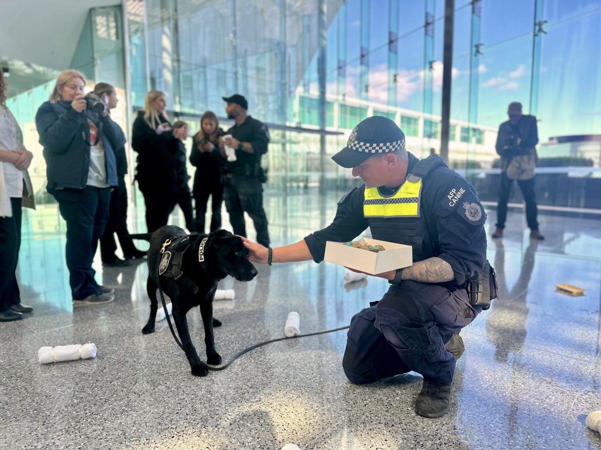 Sniffer dog
