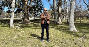 Superb parrots v substation: the fight to save this green corridor from light rail