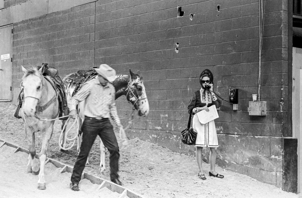 Exhibition: The Texans 1972-73 by Judith MacDougall