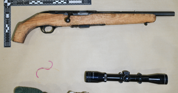 Police allegedly seize thousands of drug 'hits', plus gun