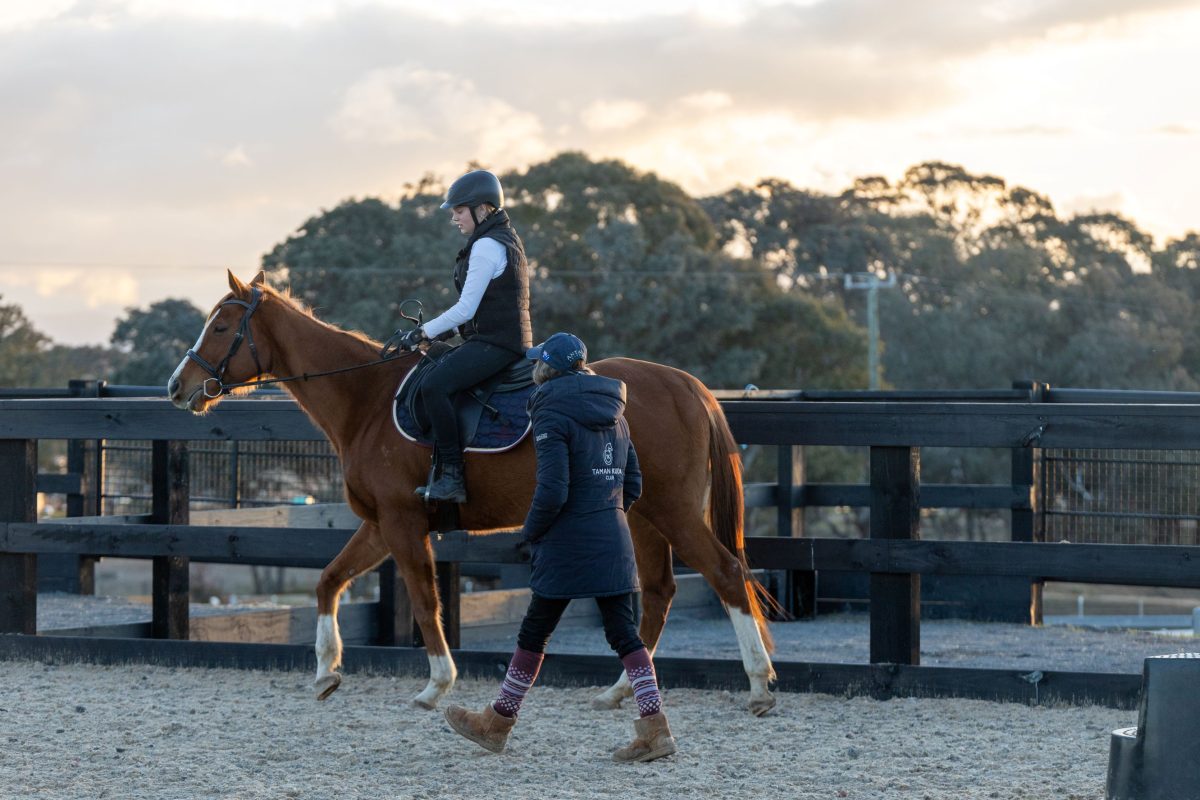 horse and rider in arena during private lesson
